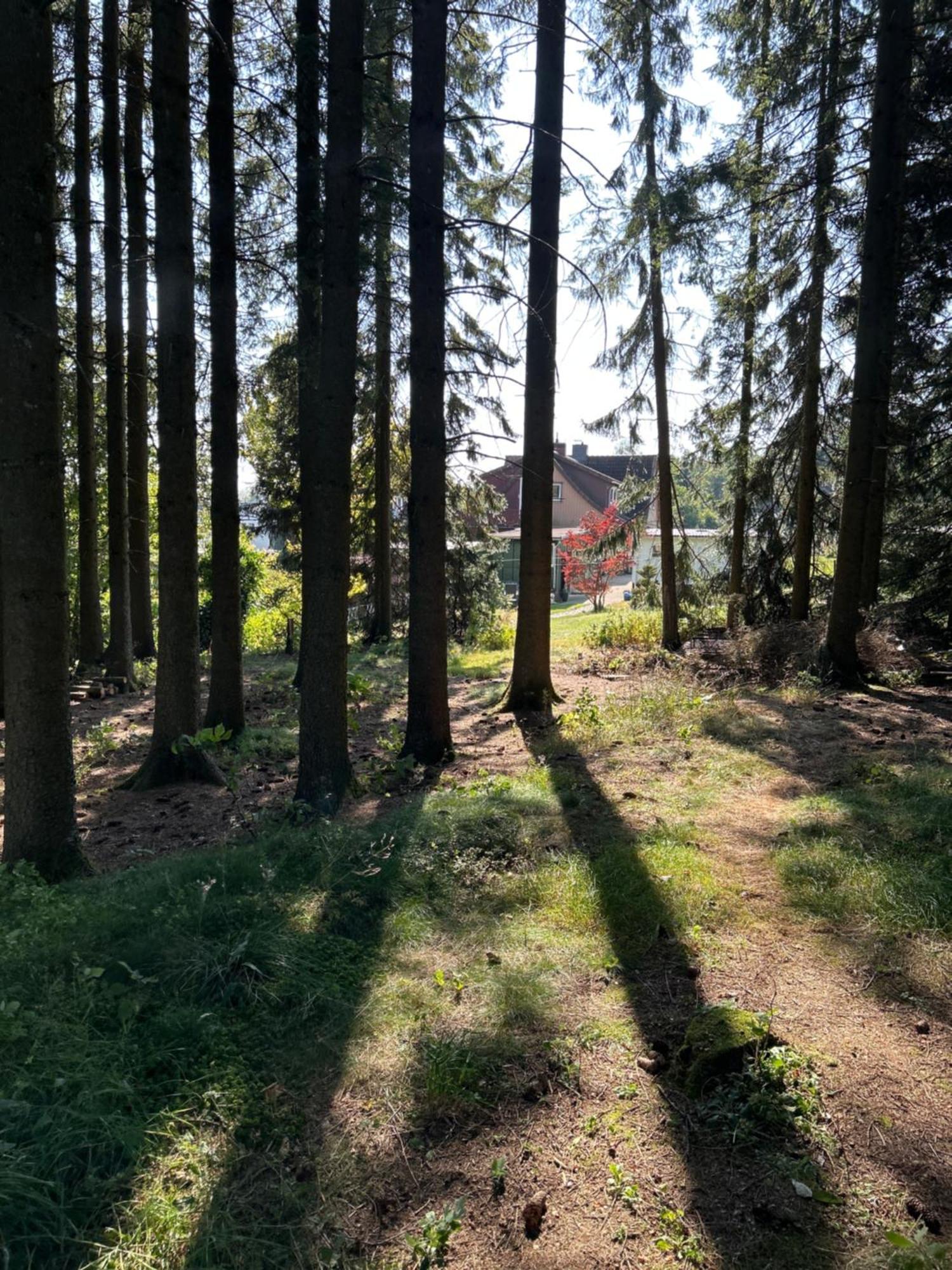 Bergwiesenblick38678 Clausthal-Zellerfeld Dış mekan fotoğraf